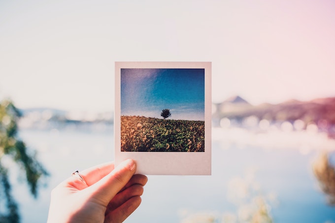 Mão humana segura uma foto polaroide de uma paisagem com pasto, árvore e céu azul