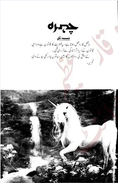 Chehra novel by Shabina Gul