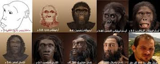صورة