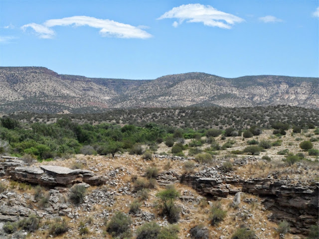 AZ Desert scenery shines bright on beautiful day