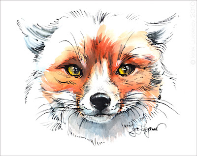 fox drawing (fox face)