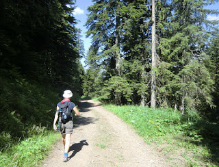 Easy descent from Col de Turini along GR52A