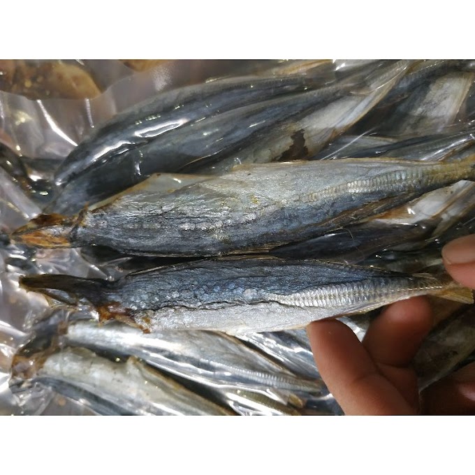 [ sukembahau ] khô cá nục nhà làm vừa ăn rất ngon, cá nục khô biển phan thiết
