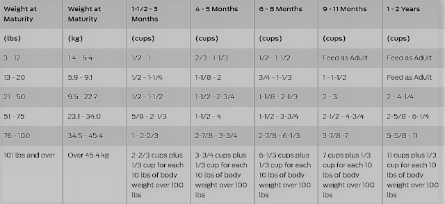 feeding chart