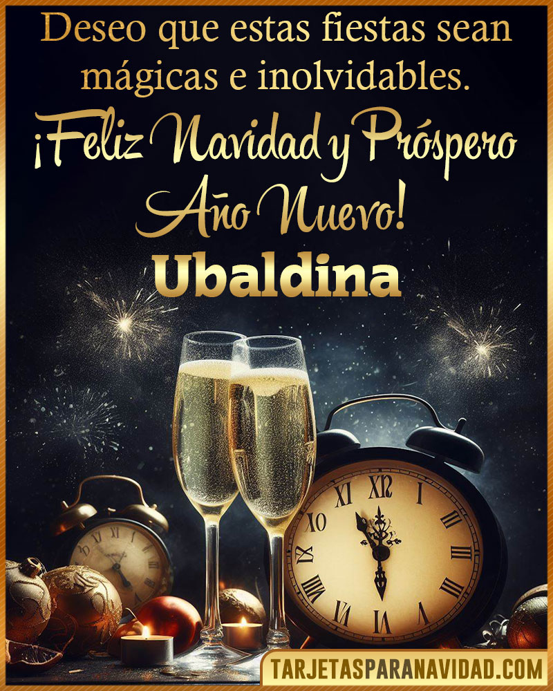 Feliz Navidad y Próspero Año Nuevo Ubaldina