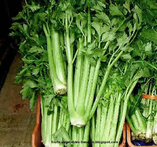 benefits _of_juicing_celery_fruits-vegetables_benefitsblogspot.com(14)