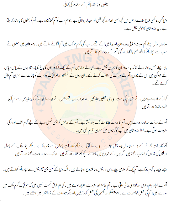 Information Story In Urdu About Mango Tree sparking stories