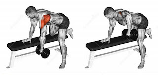 Dumbbell Rows