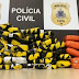 Polícia apreende 56 tabletes de skunk em galpão de transportadora na Bahia