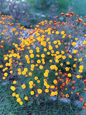 Khirsu in Uttarakhand