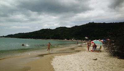 praia daniela florianopolis