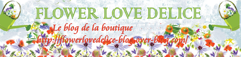 http://flowerlovedelice.blogspot.fr/