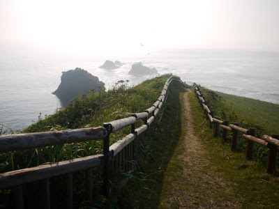 霧多布岬に続く遊歩道