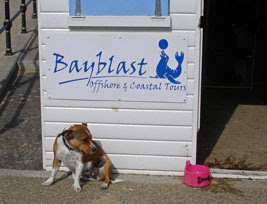 Bayblast HQ (a Herne Bay hut)