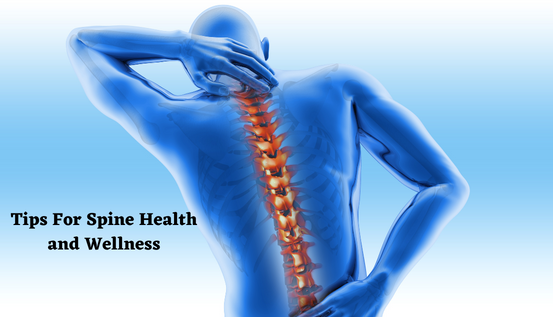 spine health and wellness
