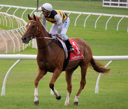 race 4_gailo chop 4