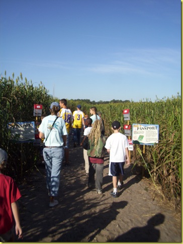 Corn maze 020