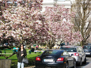 Domplaz em Salzburg Áustria