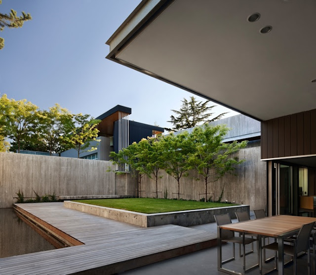 Picture of trees in the closed backyard as seen from the terrace