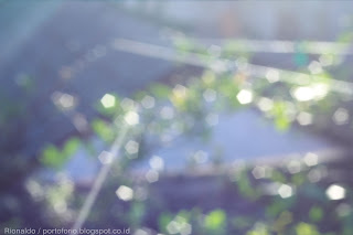 download free background bokeh filter