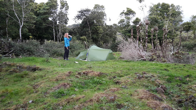 Wildkamperen op Pico