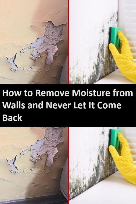 How to Remove Moisture from Walls and Never Let It Come Back