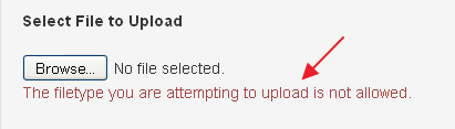 file-upload-validation-error