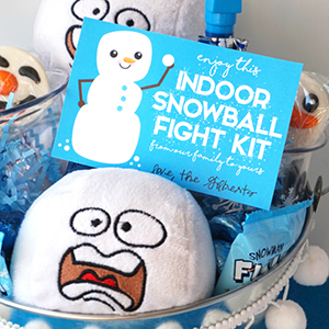 Snowball Fight Gift Idea