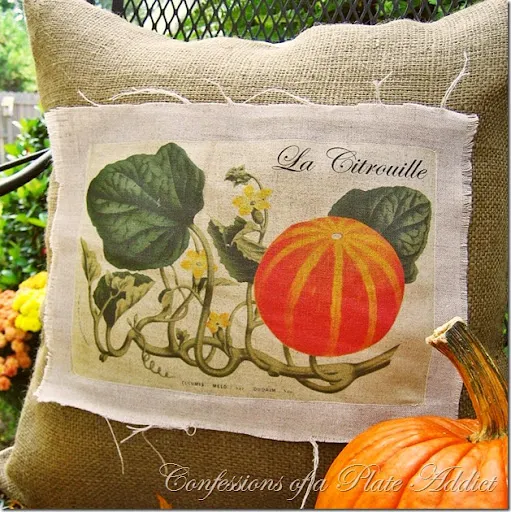 Pumpkin Graphic