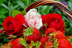 good-mornings-with-rose-strawberry-photos