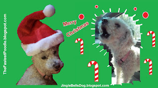 Jingle Bells Dog