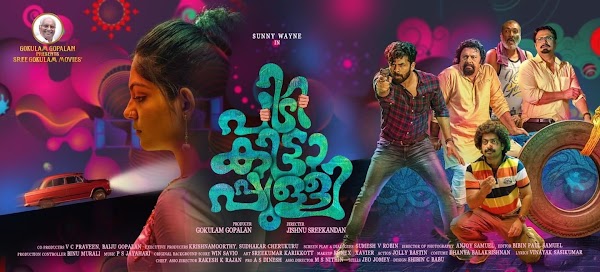 Pidikittapulli Malayalam Movie Songs Lyrics - Sunny Wayne, Ahaana Krishna