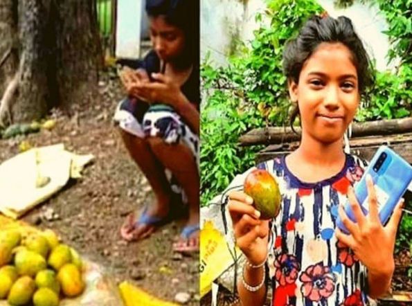 The Trader Bought a Dozen Mangoes from a Student Selling Fruits for her Studies for Rs 1.5 lakh