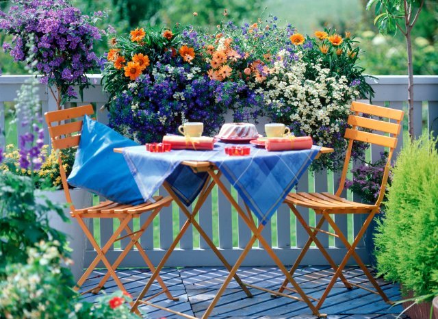 Agora Lindos Recantos Com Flores Paraíso Primaveril!