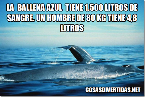 .com/img/b/R29vZ2xl/AVvXsEijzH7WdmBUep6wlJacn3d-FS0JzuqthUz3R8aRW4Lns4dhJZ-3r9QPNV3lI6t-y_w22V7ZyxLbj-4UcmfzVJJABDqJmMr-ATxPbErGxYPDt7bBbO3wLfveKNiAwRoAvxtH7yLND1PjeiIk/