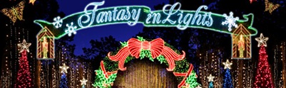 Fantasy of Lights