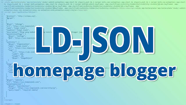 LD-JSON Script Schema.org Untuk Homepage Blogger