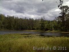IMG-20110903-00994