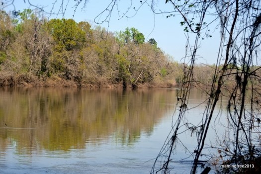 Apalachicola River