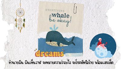 ทำนายฝัน ฝันเห็นวาฬ จะหมายความว่าอะไร จะโชคดีหรือร้าย พร้อมเลขเด็ด OHO999.com