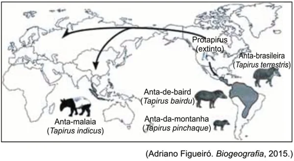 UNESP 2021: A distribuição do gênero Tapirus no tempo e no espaço indica que