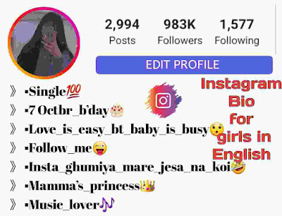 bio for instagram for girl attitude in english