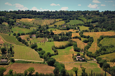 Green Umbrian Hills