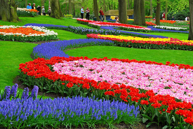 One of the most Flower Garden in the world: Keukenhof