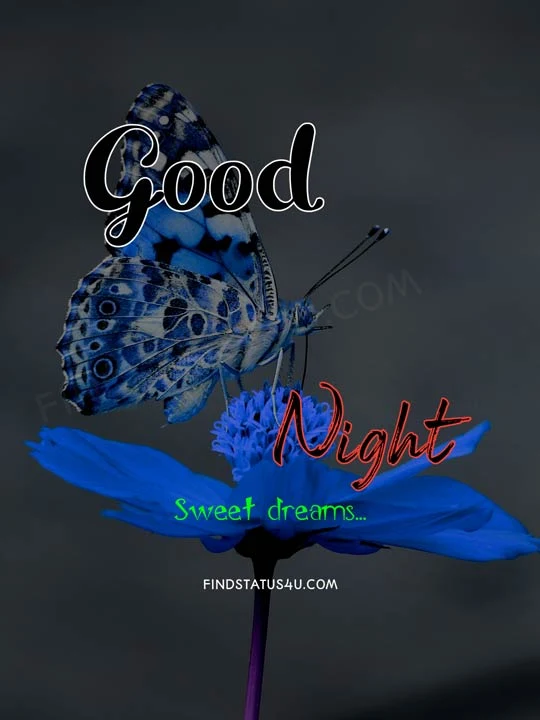 good night butterfly images