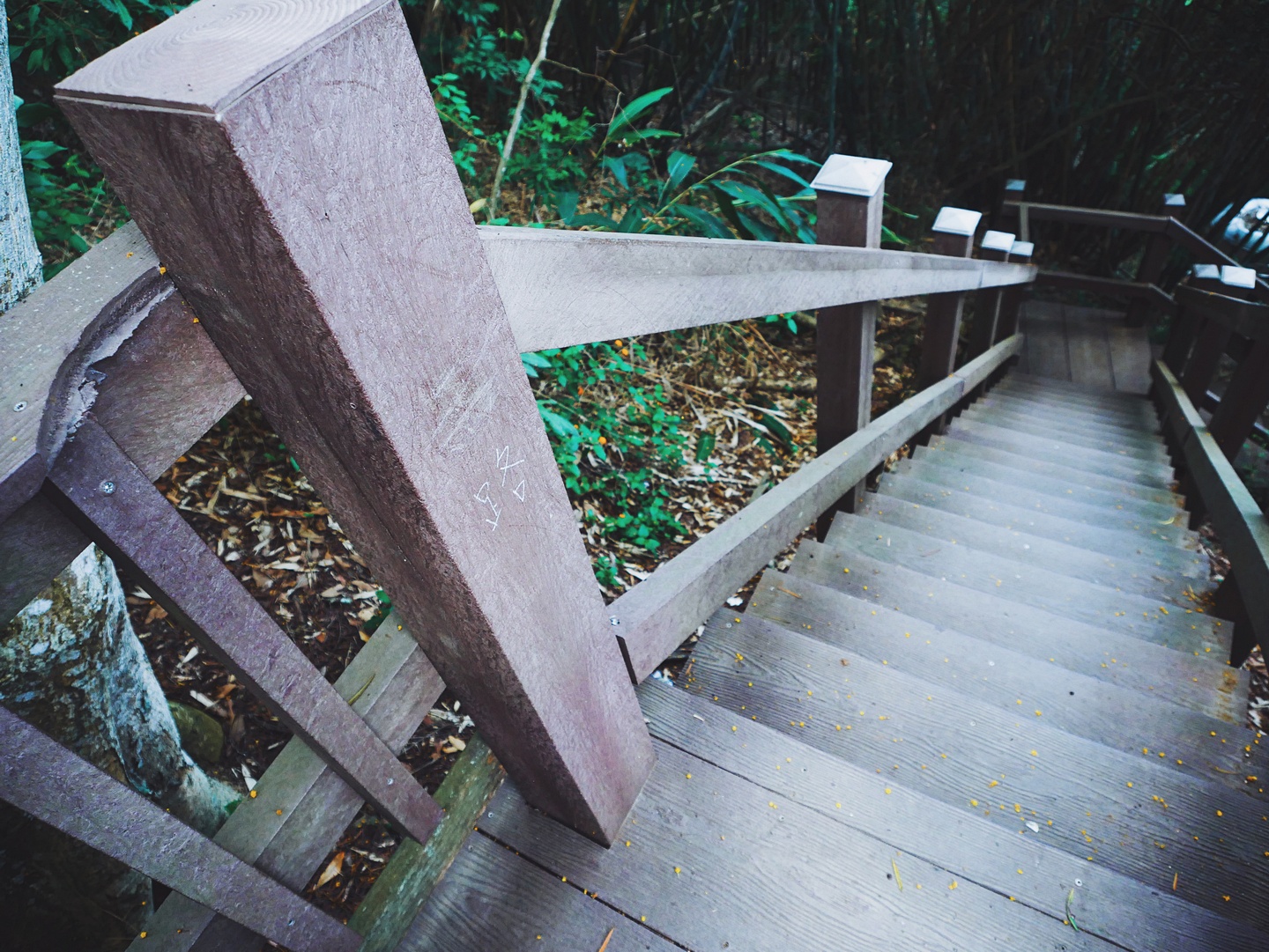 新田登山步道