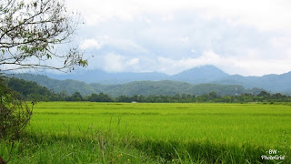 Tuhan Setia Memenuhi Janji-Nya