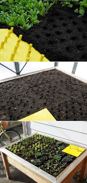 Fastest way to plant a raised garden bed #Organic_Gardening