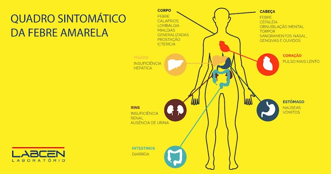 Dia D de vacinação contra febre amarela  no próximo 29 de julho