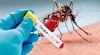 सोनभद्र में प्लाज्मा के लिए वाराणसी रेफर हो रहे डेंगू मरीज, ब्लड बैंक में नहीं लगी पृथक्करण मशीन - Sonbhadra News